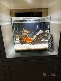 Vendita acquario completo di set