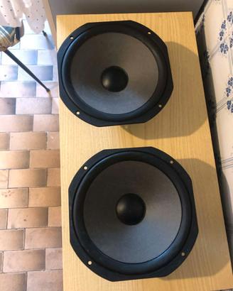 Woofer Pioneer 25-779A 100 watts 8 ohm 25cm