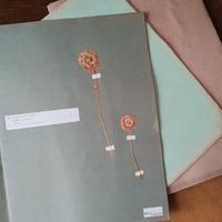 ERBARIO EPOCA DIDATTICO ANTICO NO PARAVIA VALLARDI