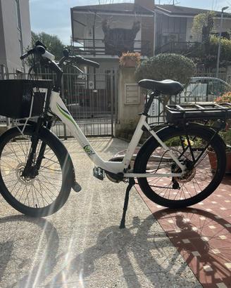 Bici elettrica