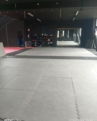 Palestra