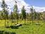 Immagine 26