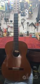 M.SUZUCKI HIGHEST QUALITY GUITAR MODEL NO SG-104
