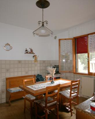 AP80 - Ampio appartamento con garage e giardino a
