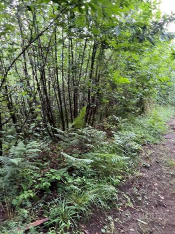 Immobile in asta di 39481 m² a Visciano - Vista 2