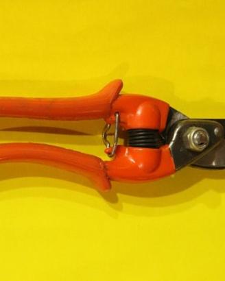 Pradines – Forbice da Potatura cm 20 Acc. Sandvik