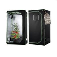 Grow box 100x100
