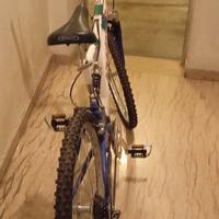 bici mountain-bike 