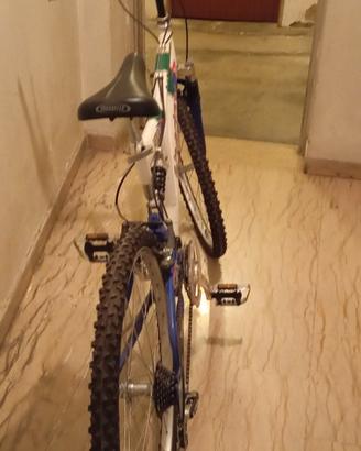 bici mountain-bike 