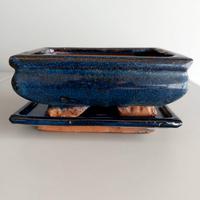 Vaso per bonsai con sottovaso