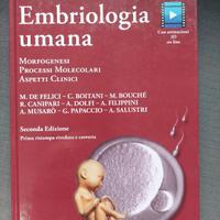 embriologia umana de felici