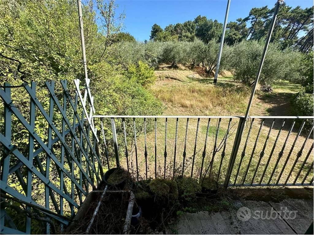 Appartamento – Montecarlo, San Salvatore - Altro
