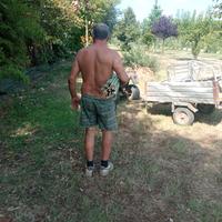 bambù canne di bambù 