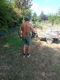 bambù canne di bambù 