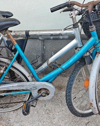 bici da donna e da uomo  Mountain bike 