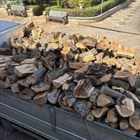 Legna d’ulivo secca