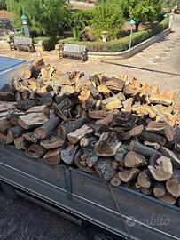Legna d’ulivo secca