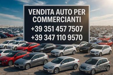 AUTO PER COMMERCIANTI