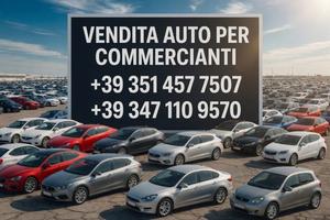 AUTO PER COMMERCIANTI