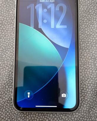 iPhone 11 256 GB
