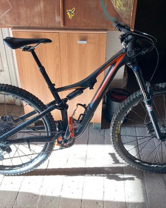 Specialized Stumpjump enduro