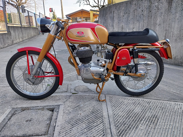 Mondial 175 sprint serie oro