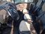 Immagine 3