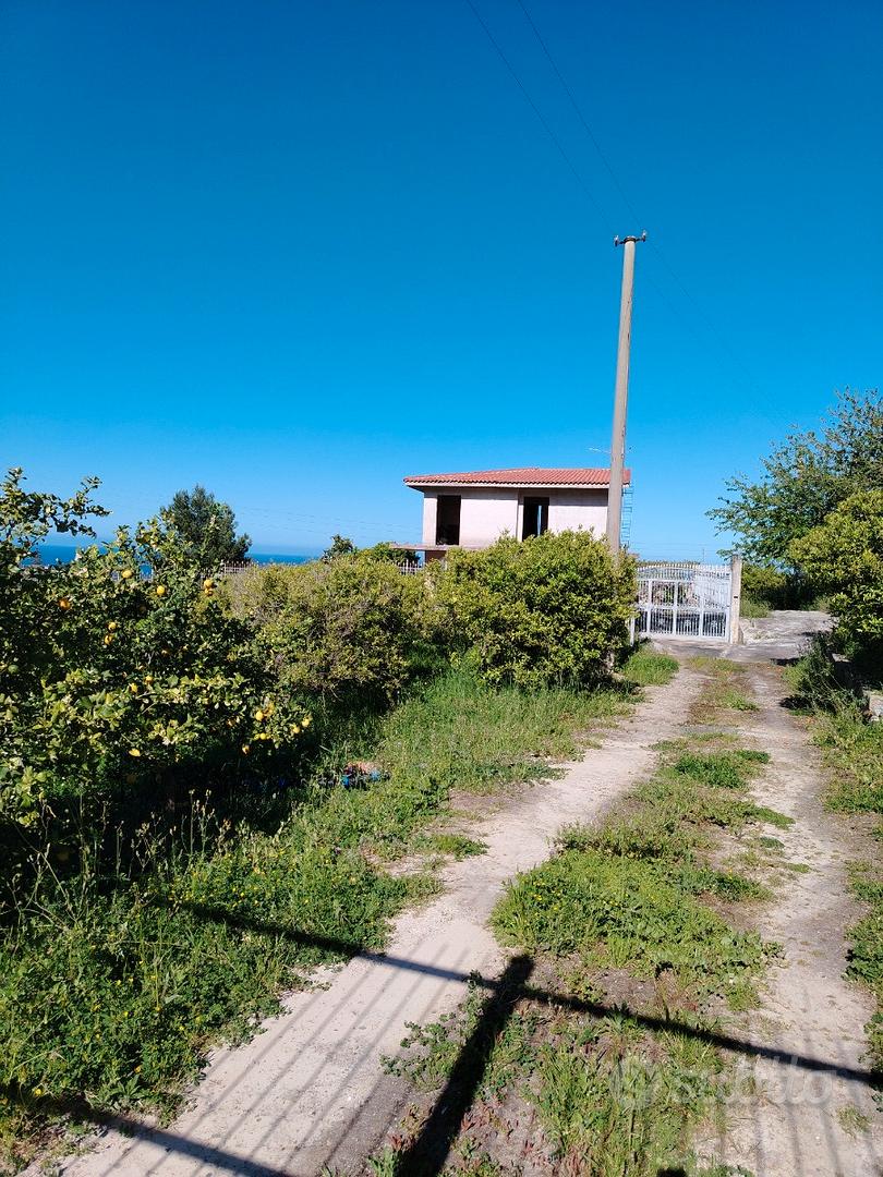 Vendita terreno agricolo - Vista 2