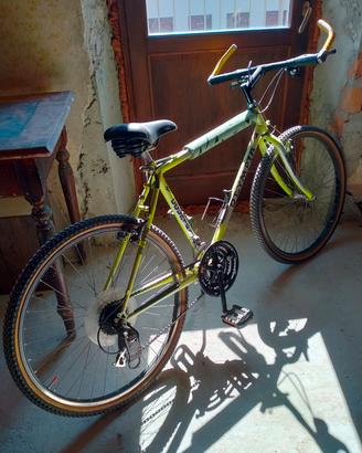 Mountain bike 