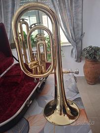 Filicorno contralto in MI  b.m.