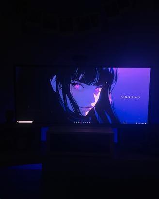 Monitor Lg ultrawide 25’
