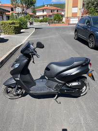 Kisbee s 50 black edition 4t