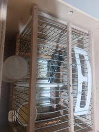 Incardellati novelli