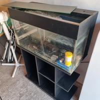 acquario 120l