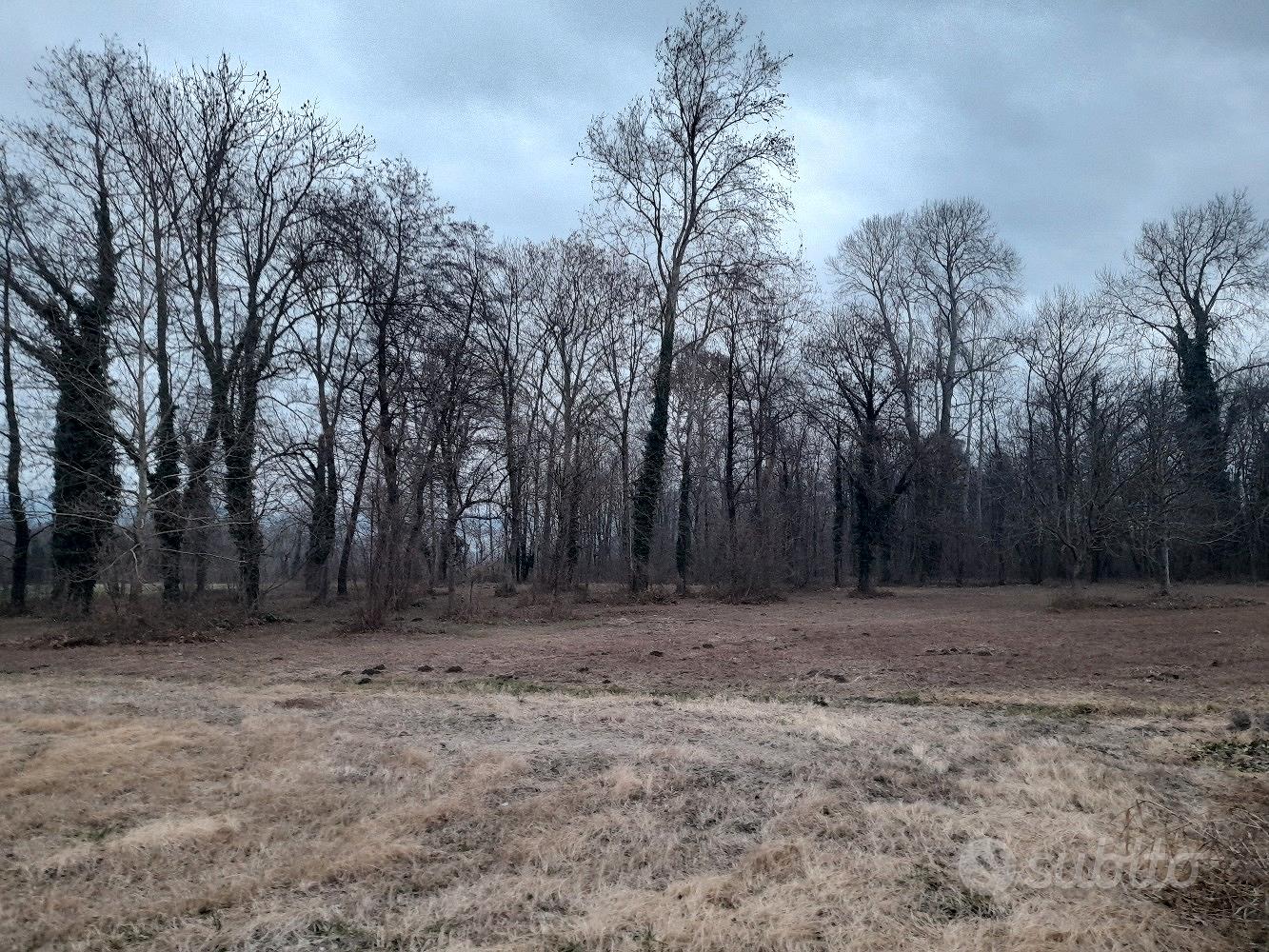 terreno agricolo - Altro