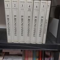enciclopedia (peso kg.13)