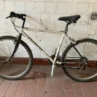 Mountain Bike Olympia