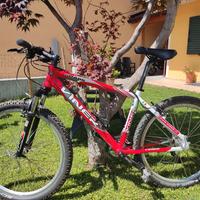 MTB VINER SHARK 26 tgM