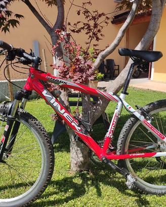 MTB VINER SHARK 26 tgM