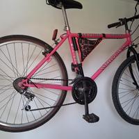 Bicicletta mtb d' annata