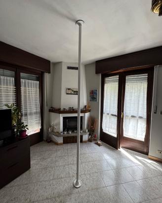 Palo pole dance