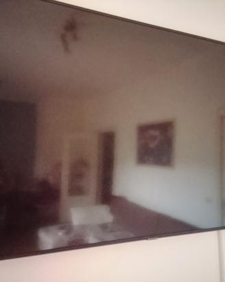 TV Samsung 65 pollici