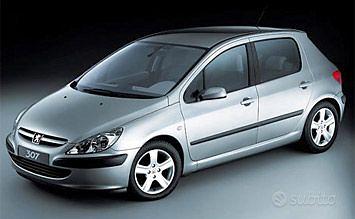 PEUGEOT 307 2004 - RICAMBI USATI