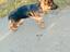 Immagine 1