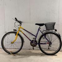 Bicicletta da donna con cestino da 26 pollici
