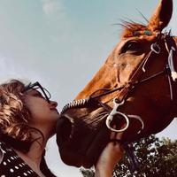 Gestione animali