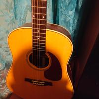 chitarra acustica seagull