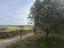 Immagine 29