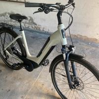 Bici da passeggio elettrica