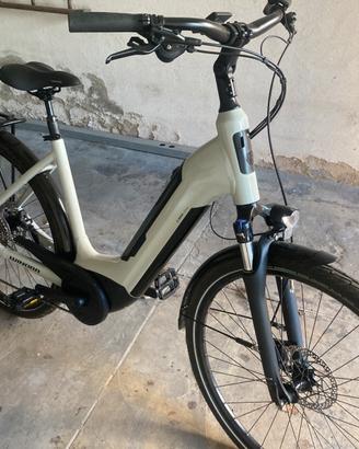 Bici da passeggio elettrica